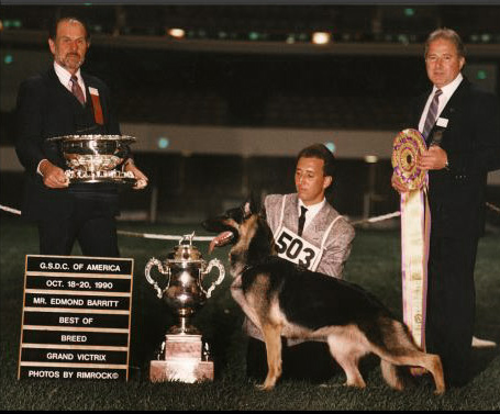 GVX/GCh Amber's Rosie of Bracewood