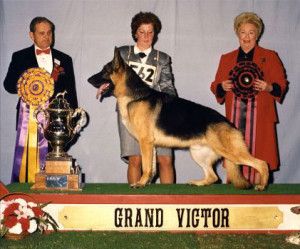 GCh Piper Hill's Polo