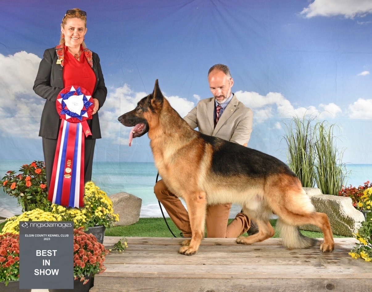 Jack — Best In Show, Canada